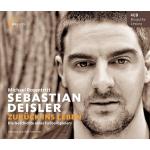 10-12-2009 - s2marketing - buecher_zum_fest - Deisler HoerCover.jpg